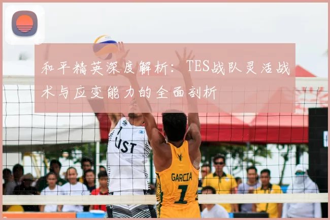 和平精英深度解析:TES战队灵活战术与应变能力的全面剖析