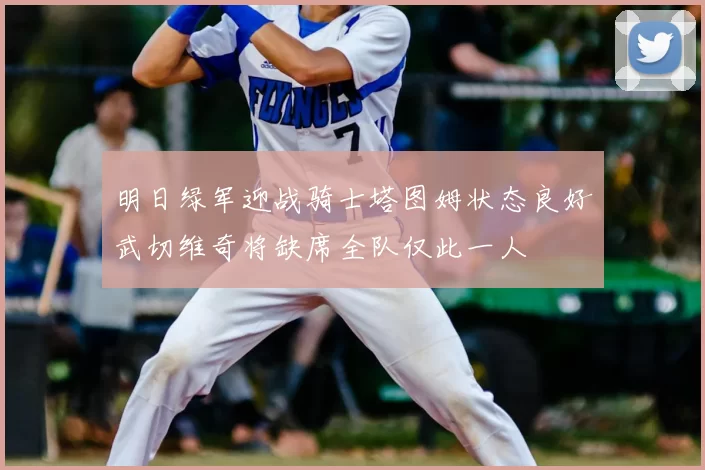 明日绿军迎战骑士塔图姆状态良好武切维奇将缺席全队仅此一人