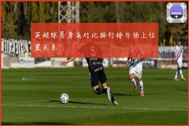 英超球员身高对比排行榜与场上位置关系