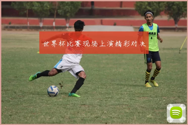 世界杯比赛现场上演精彩对决