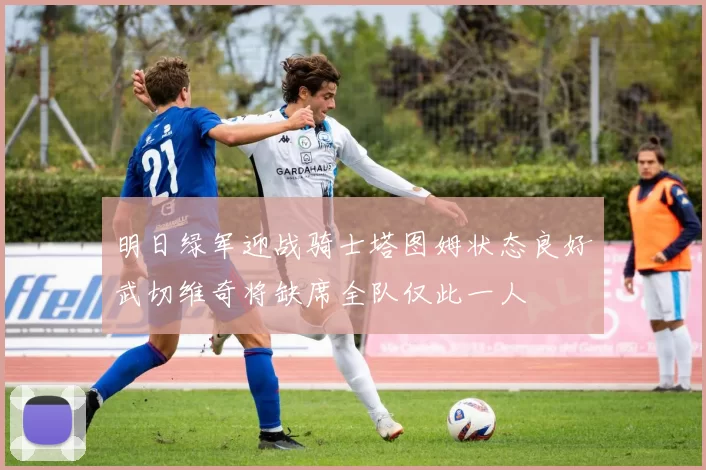 明日绿军迎战骑士塔图姆状态良好武切维奇将缺席全队仅此一人