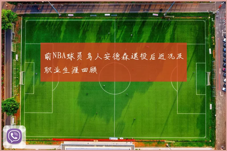 前NBA球员鸟人安德森退役后近况及职业生涯回顾