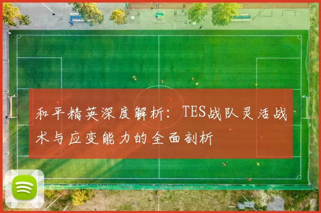 和平精英深度解析:TES战队灵活战术与应变能力的全面剖析