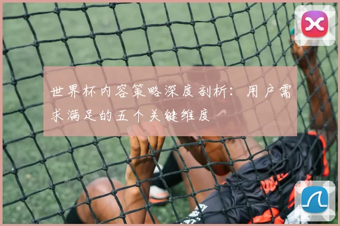 世界杯内容策略深度剖析:用户需求满足的五个关键维度