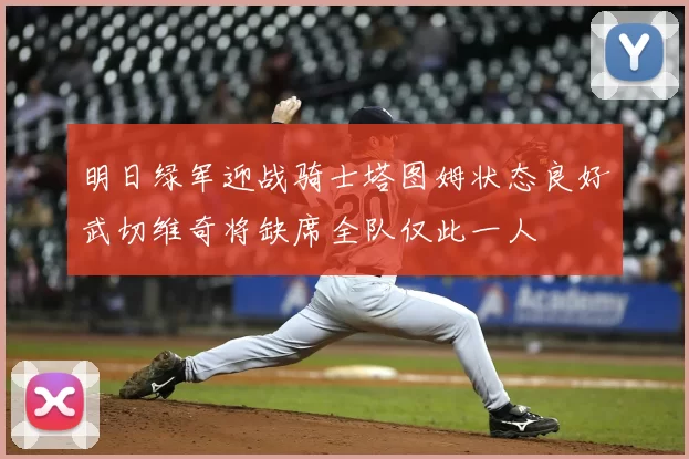 明日绿军迎战骑士塔图姆状态良好武切维奇将缺席全队仅此一人