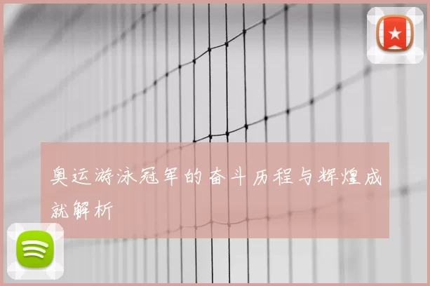 奥运游泳冠军的奋斗历程与辉煌成就解析