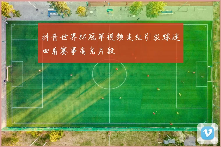 抖音世界杯冠军视频走红引发球迷回看赛事高光片段