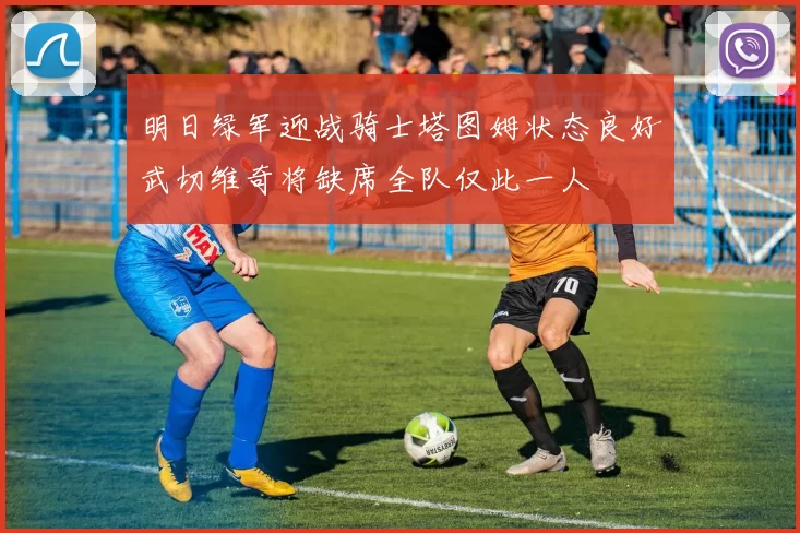 明日绿军迎战骑士塔图姆状态良好武切维奇将缺席全队仅此一人