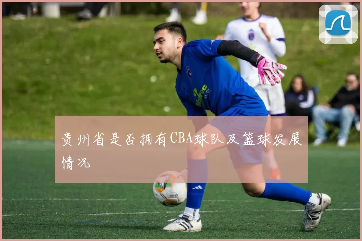 贵州省是否拥有CBA球队及篮球发展情况