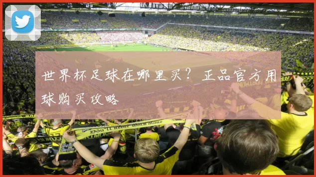 世界杯足球在哪里买?正品官方用球购买攻略