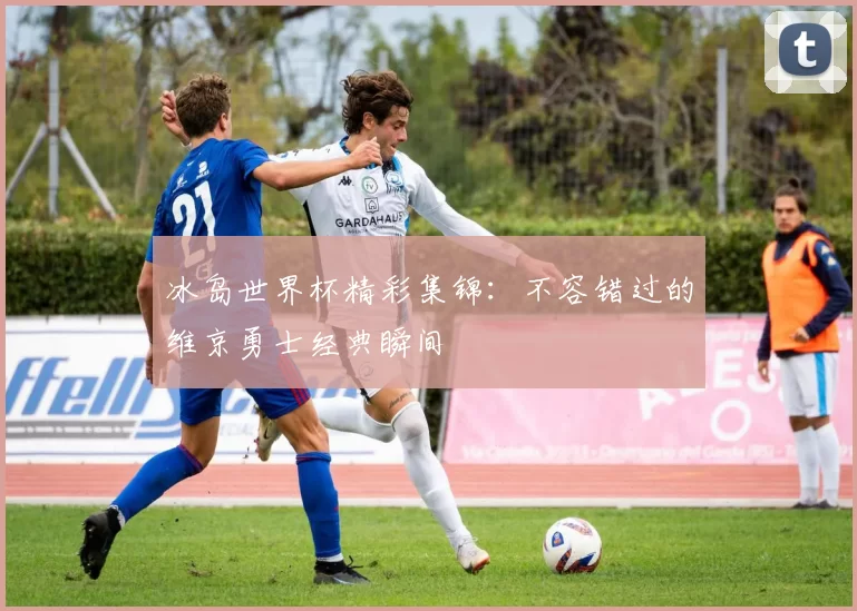 冰岛世界杯精彩集锦:不容错过的维京勇士经典瞬间