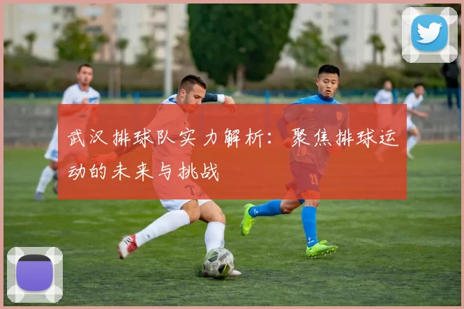武汉排球队实力解析:聚焦排球运动的未来与挑战