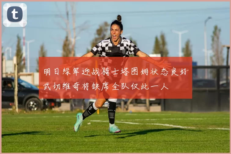 明日绿军迎战骑士塔图姆状态良好武切维奇将缺席全队仅此一人