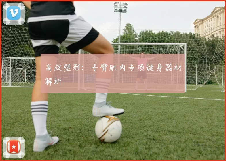 高效塑形：手臂肌肉专项健身器材解析