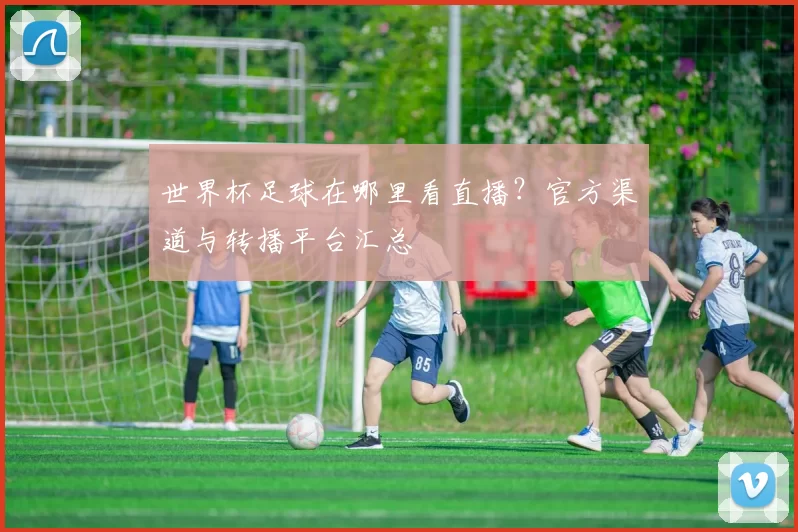 世界杯足球在哪里看直播？官方渠道与转播平台汇总