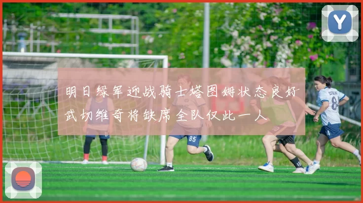 明日绿军迎战骑士塔图姆状态良好武切维奇将缺席全队仅此一人