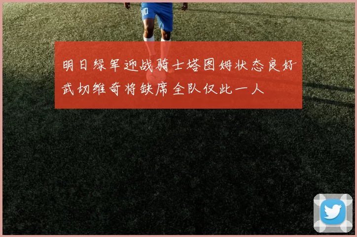 明日绿军迎战骑士塔图姆状态良好武切维奇将缺席全队仅此一人